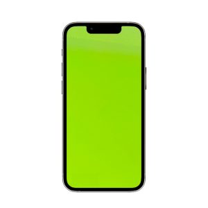 Sửa lỗi xanh màn hình iPhone 11 Pro Max